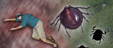 SFTS 중증열성혈소판감소증후군 증상 4가지 및 치료 예방 총정리