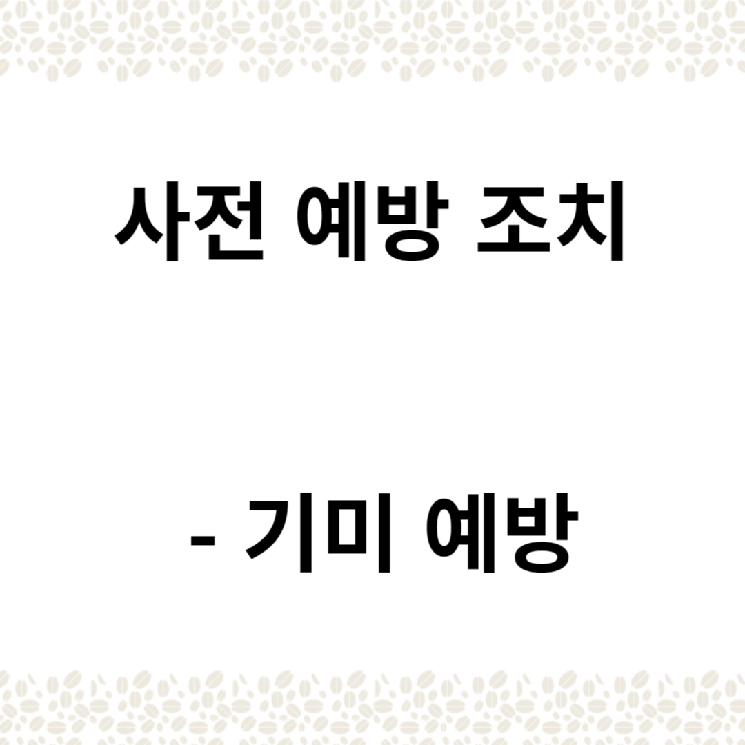 사전 예방 조치 - 기미 예방