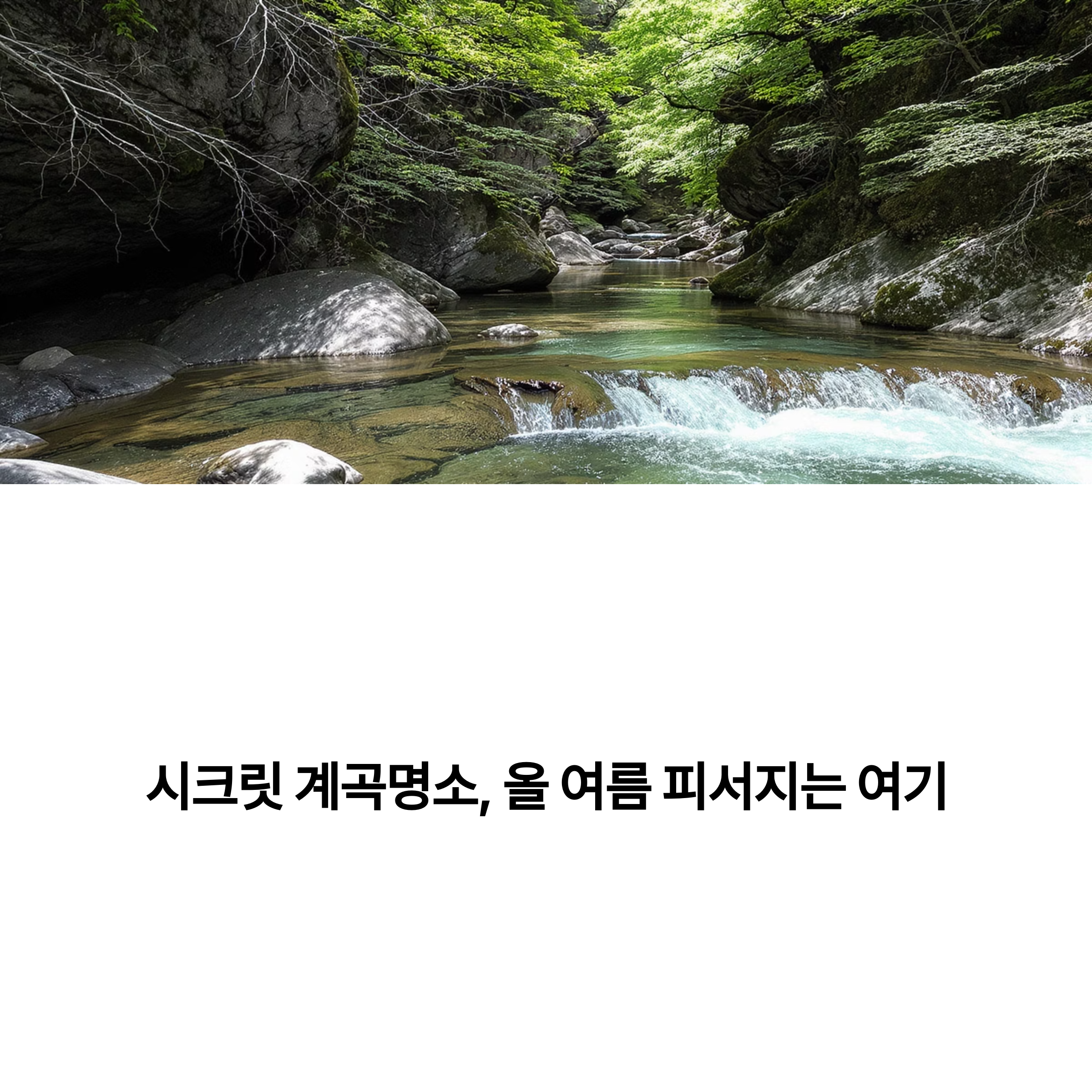 시크릿 계곡명소, 올 여름 피서지