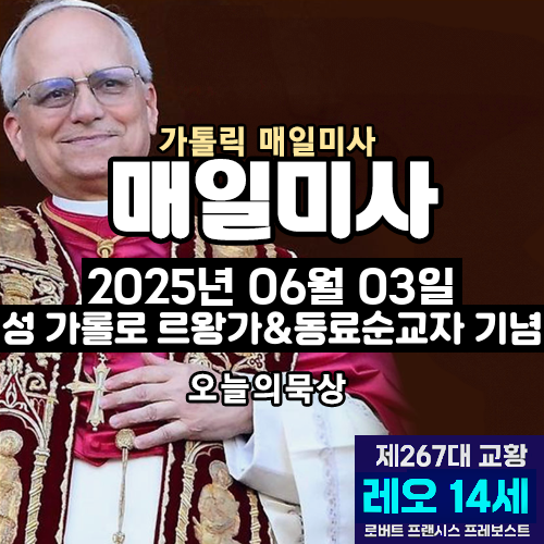 2025년 6월 3일 매일미사 성 가롤로 르왕가&amp;동료순교자 기념 오늘의 묵상