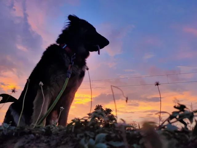 틱톡 라이트 이벤트 참여가 제한된 계정입니다 해결 방법과 대안책_6