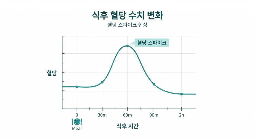 식후 혈당 수치 변화 그래프, 식사 후 60분에 혈당 스파이크가 발생하고 이후 급락하는 패턴