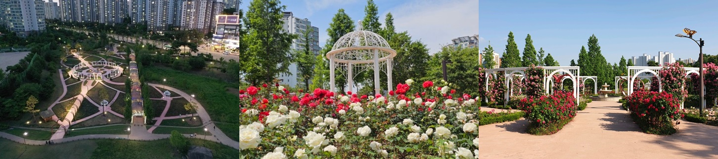 장미터널과 유럽풍 포토존, 어디서 찍어도 인생샷!