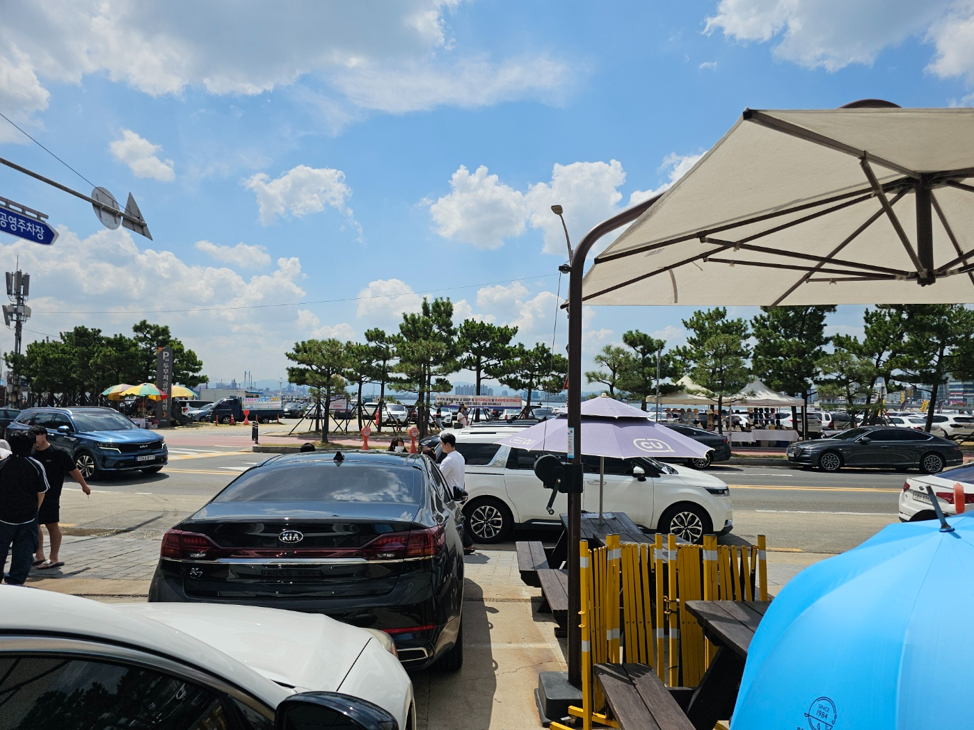 8월 경주/포항 1박2일&amp;#44; #4 [포항 물회: 마라도]