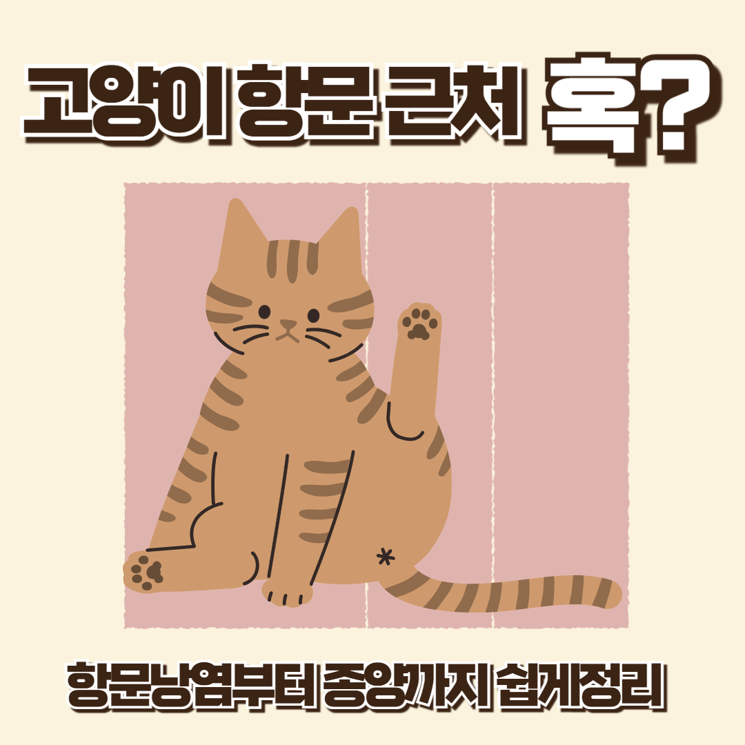 고양이 항문낭