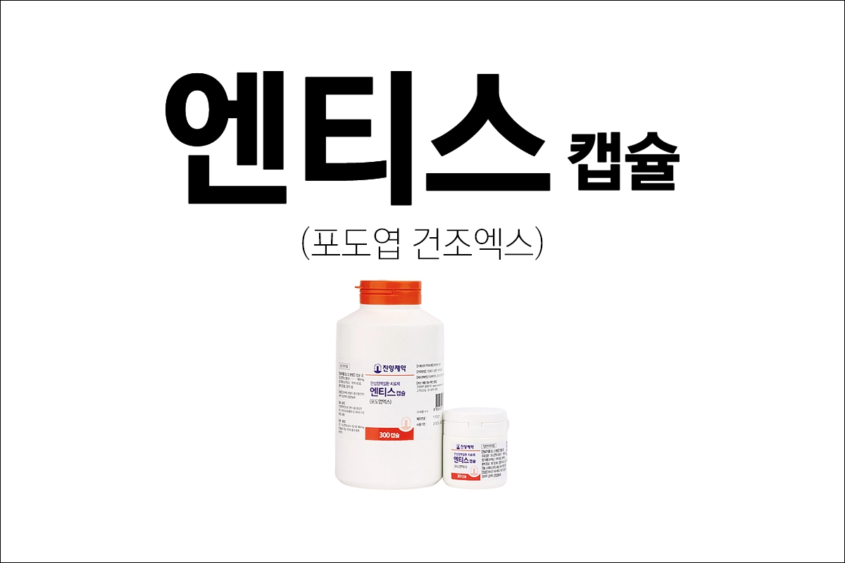 엔티스캡슐 효능 효과 부작용 포도엽건조엑스 하지부종 하지중압감 통증