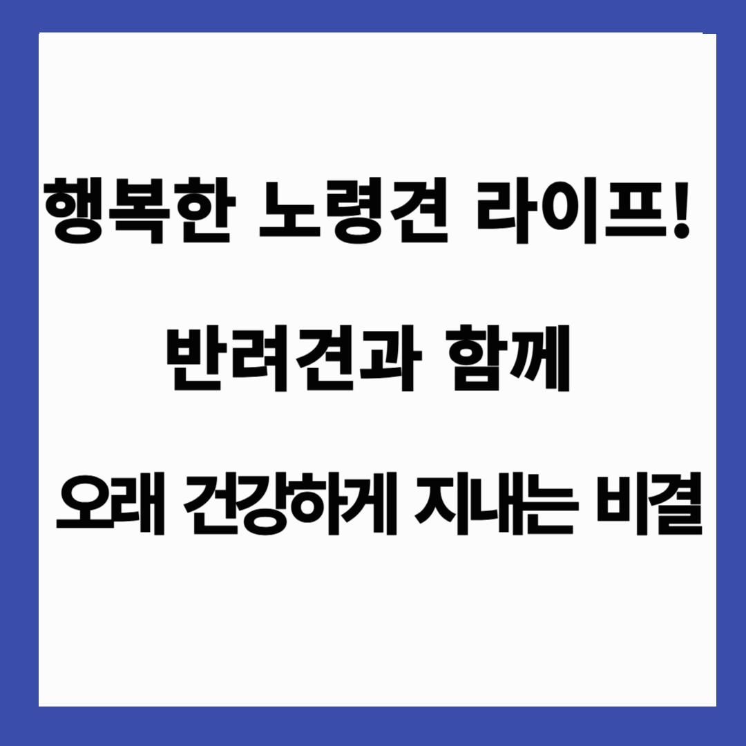 🐶 행복한 노령견 라이프! 반려견과 함께 오래 건강하게 지내는 비결