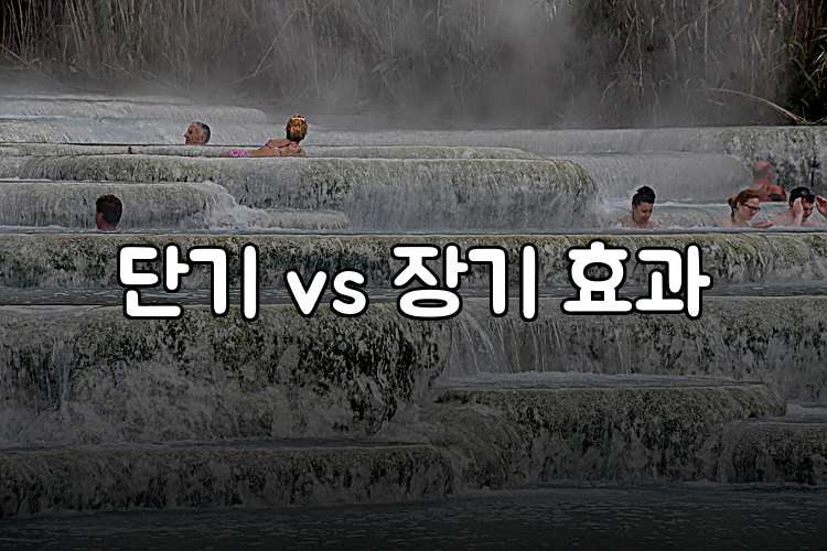 단기 vs 장기 효과