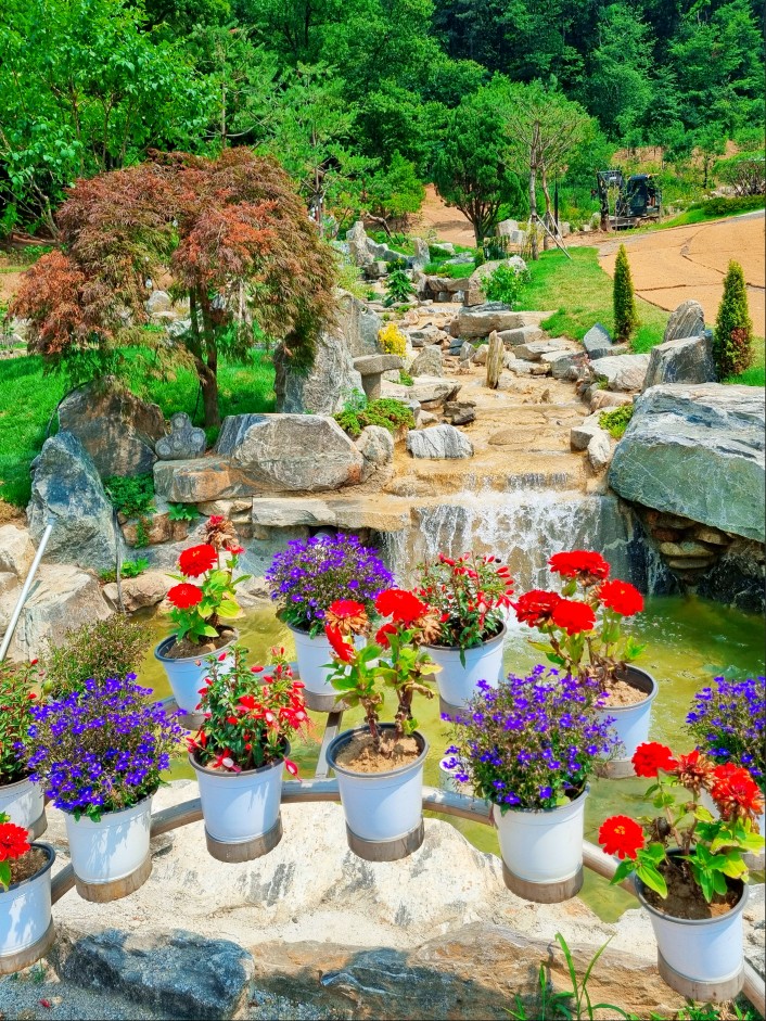 경기도 시흥 산골수목원: 연분홍 수국이 있는 식물원 카페