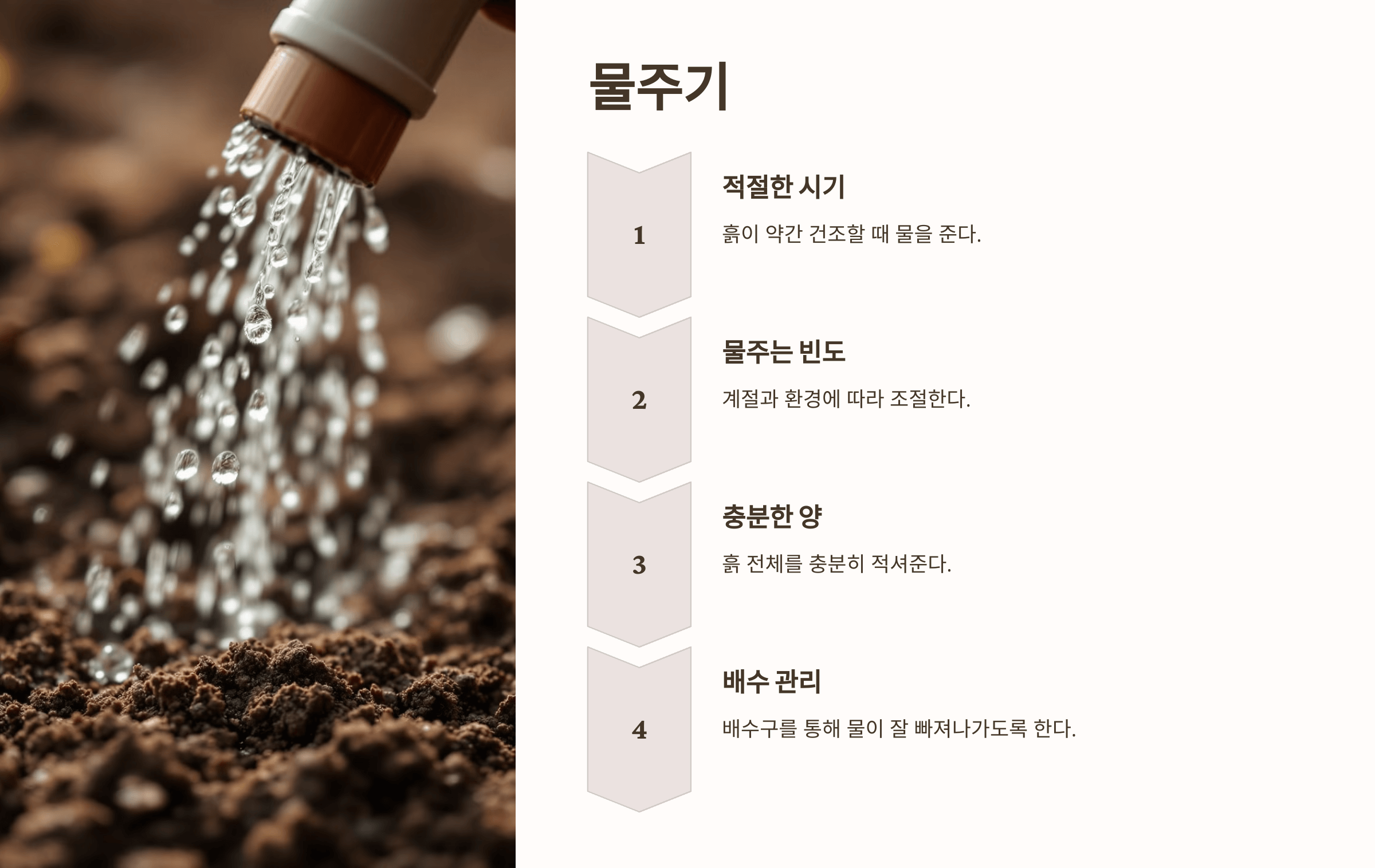 스파티필름과 관련된 사진입니다.