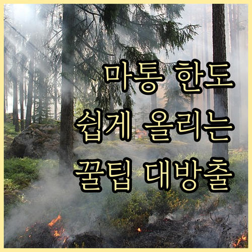 필요 서류 완벽 정리: 마이너스 통장..