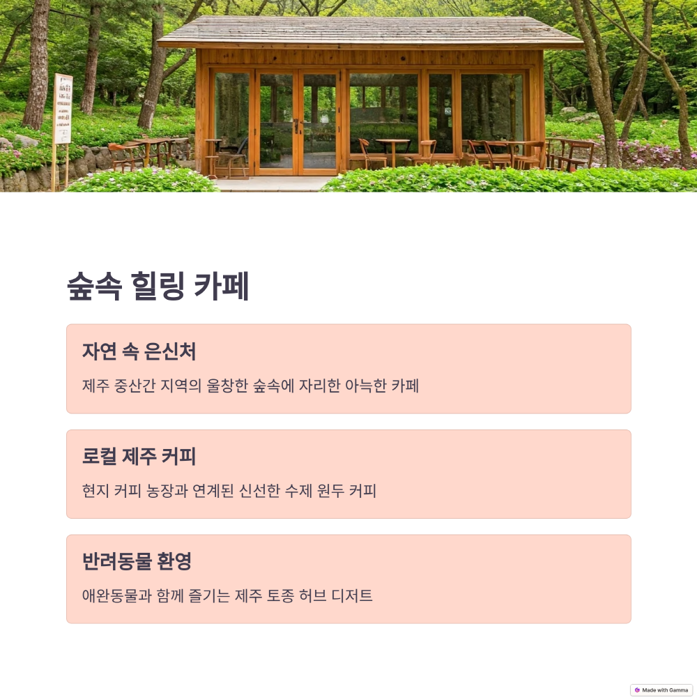 숲속 카페