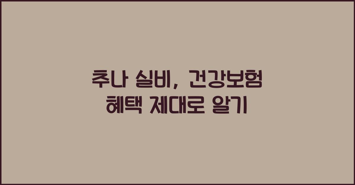 추나 실비