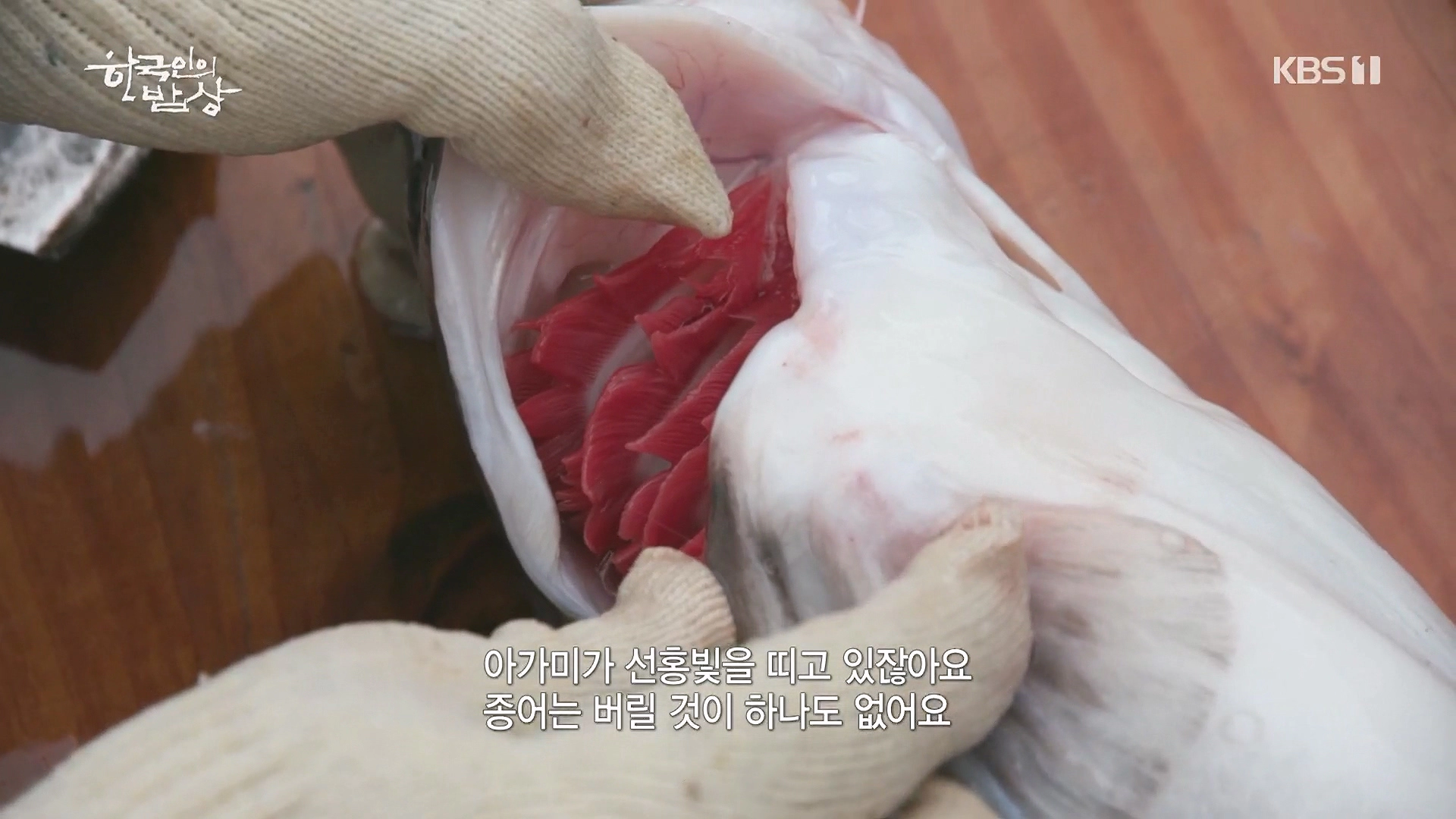 종어 물고기
