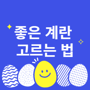 좋은 계란 고르는 법 썸네일