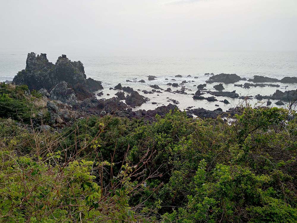 올레6코스, 쇠소깍에서 제주올레 여행자센터까지