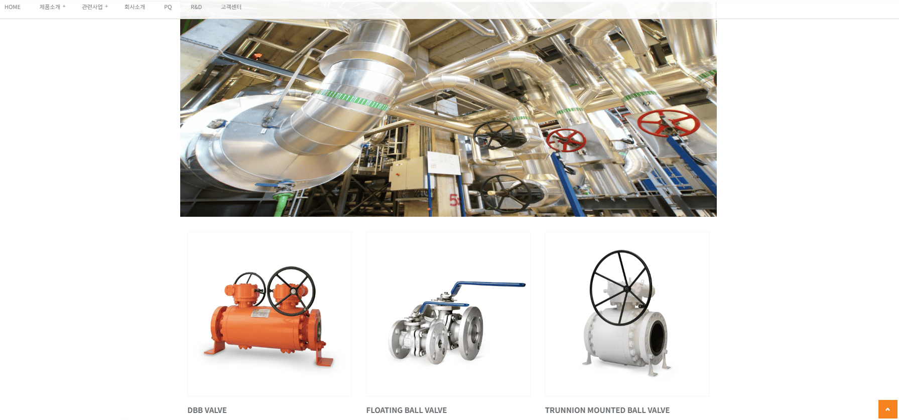 홍준표 관련 주식