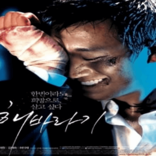 해바라기