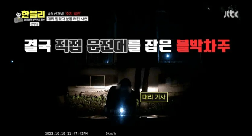 신개념 주차 빌런 대리 기사 15