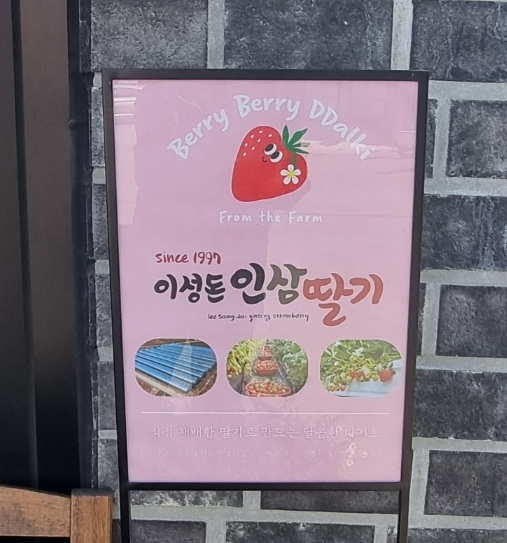 '이성돈딸기인삼'이라는 것을 그림으로 그려서 매장입구 벽에 붙여 놓았습니다.