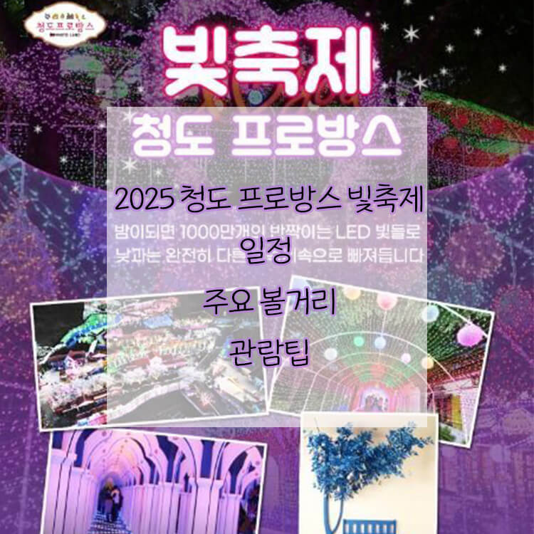 2025 청도 프로방스 빛축제