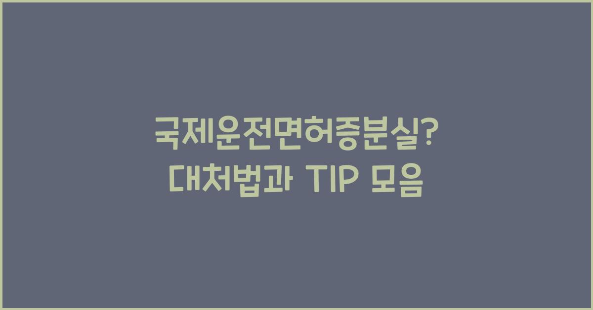 국제운전면허증분실