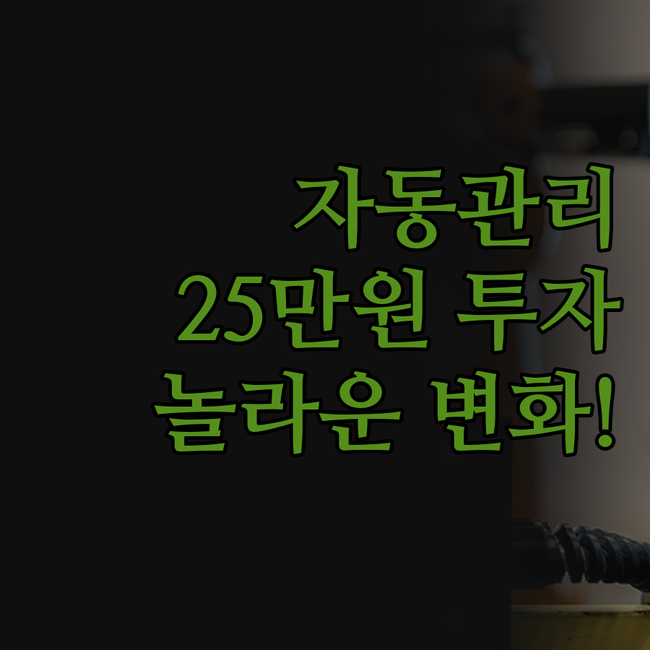 인스타 자동 관리, 진짜 될까? 25