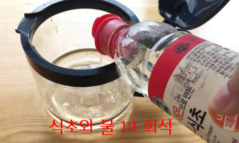 식초와 물을 1:1 비율