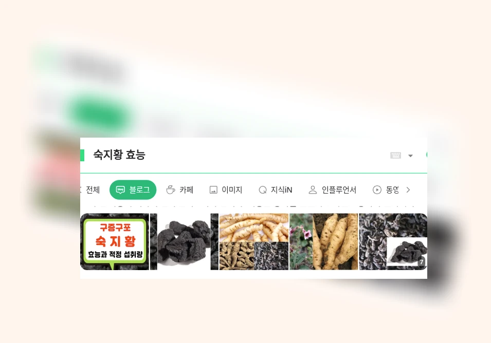 숙지황 효능_1_subsection