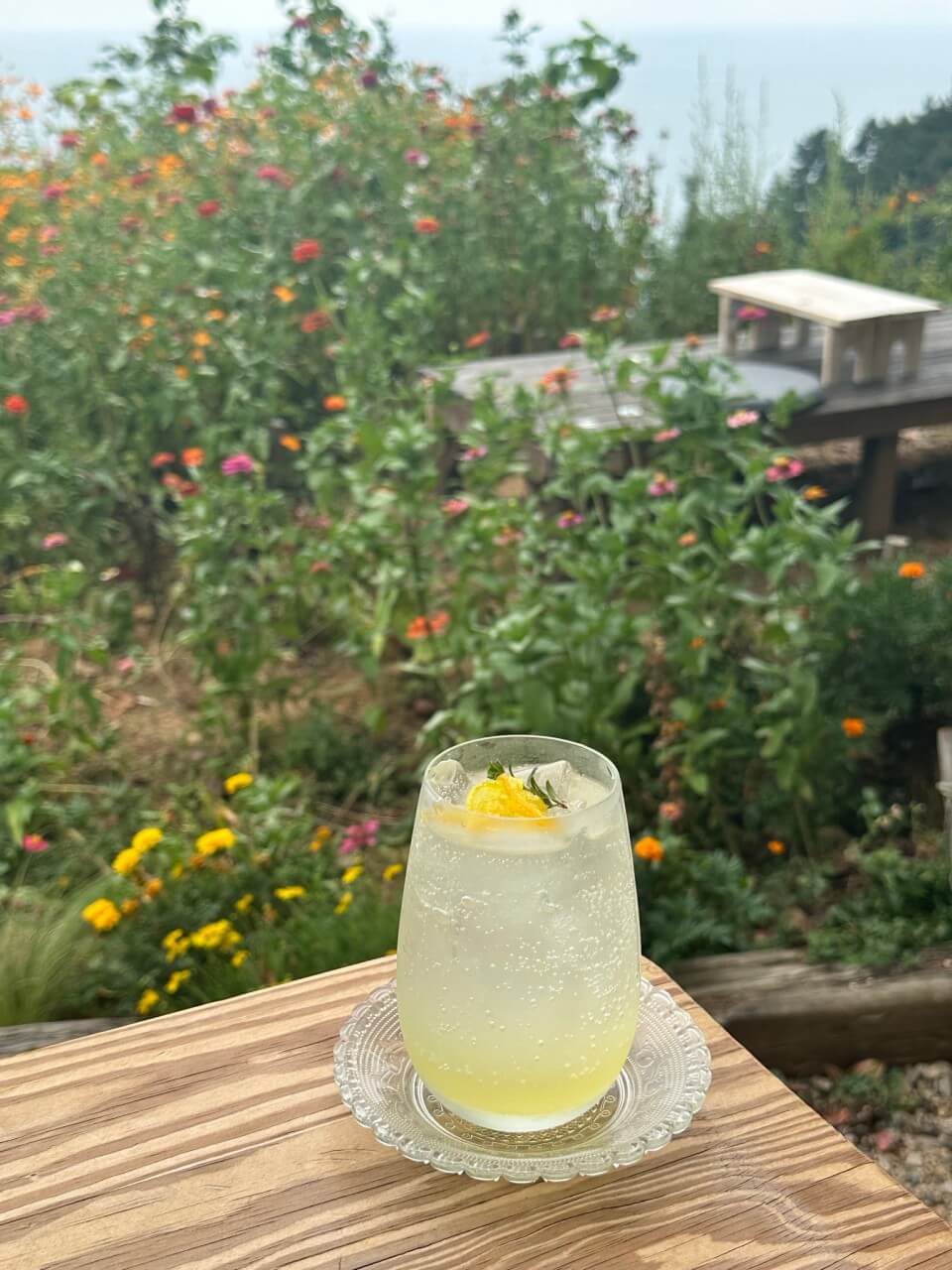 생생정보 두 집 살림 카페 순이로 남해 한 달 살아보기 카페 톨 생생정보 2299회