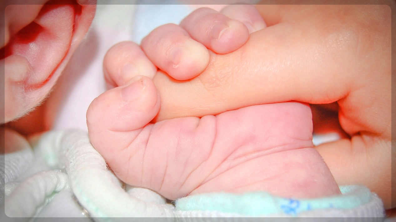 엄마손과 아기손