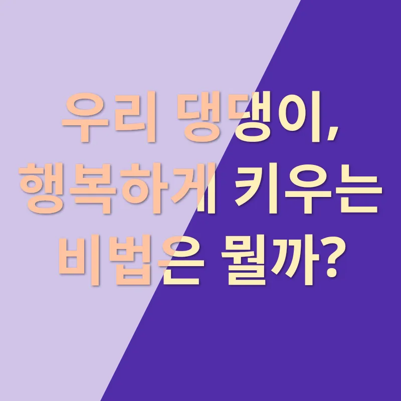 반려동물 입양_3