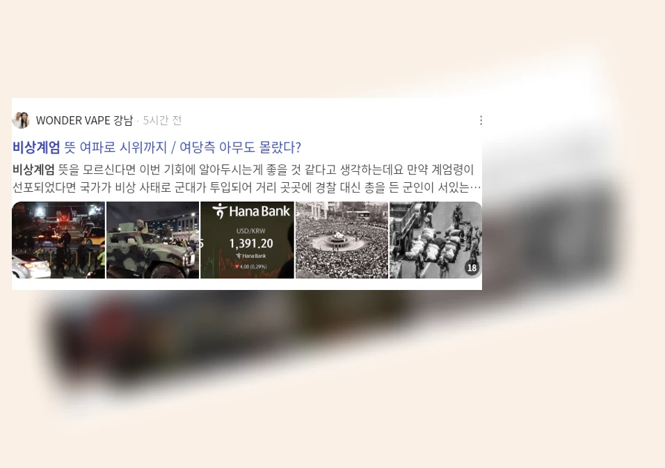 비상계엄_3_subsection