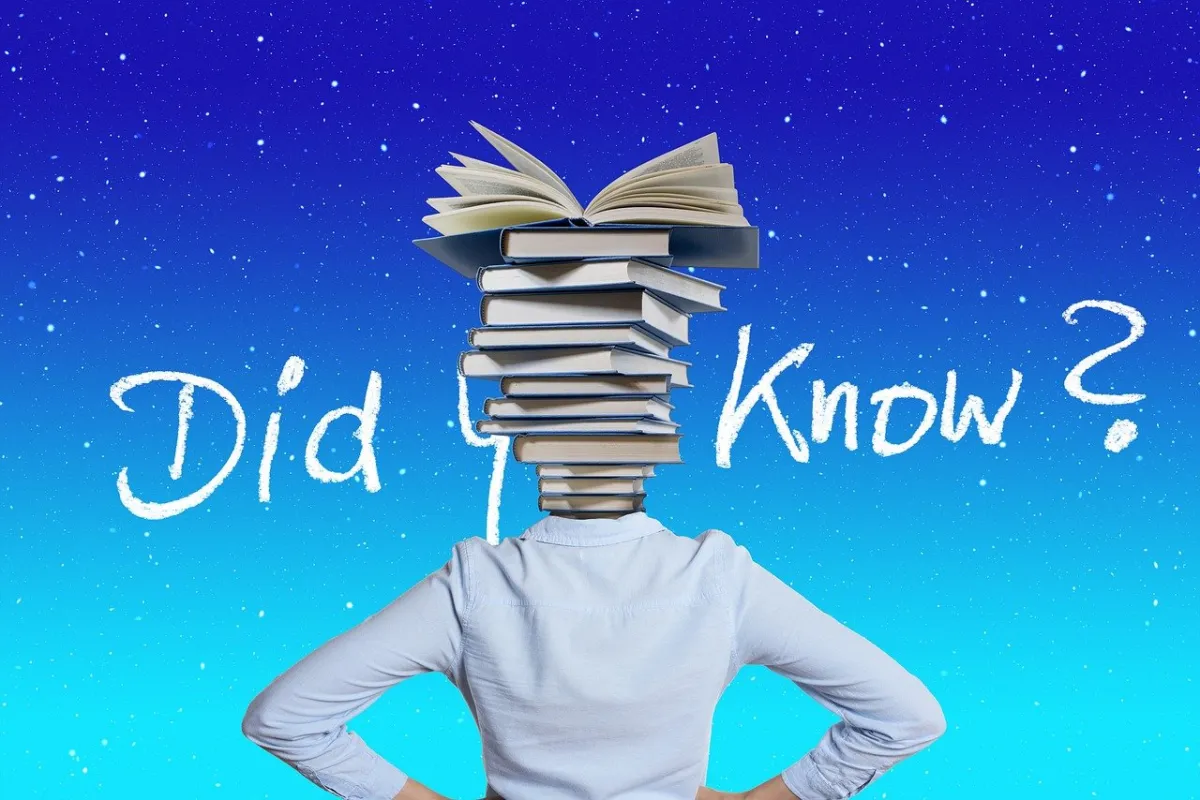 알고-있었나요?-여자-뒷모습