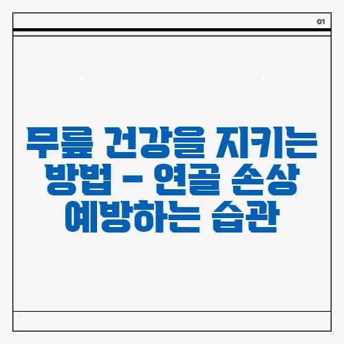 무릎 건강을 지키는 방법 – 연골 손상 예방하는 습관