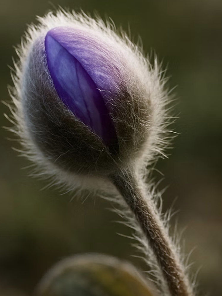 솜털 옷을 입었는지 확인하세요
