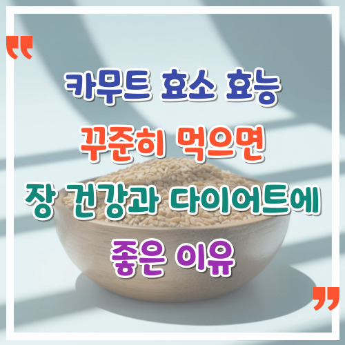 카무트-효소-효능-꾸준히-먹으면-장-건강과-다이어트에-좋은-이유