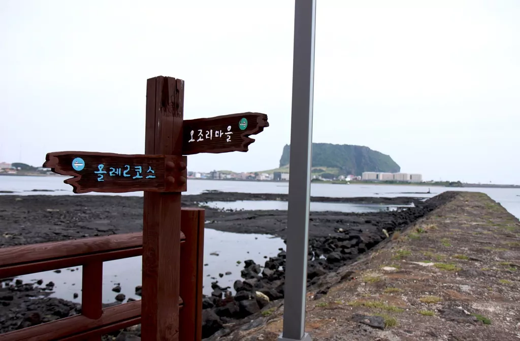 제주 올레길 2코스 오조리마을 입구에서 바라본 성산일출봉 전명 사진.