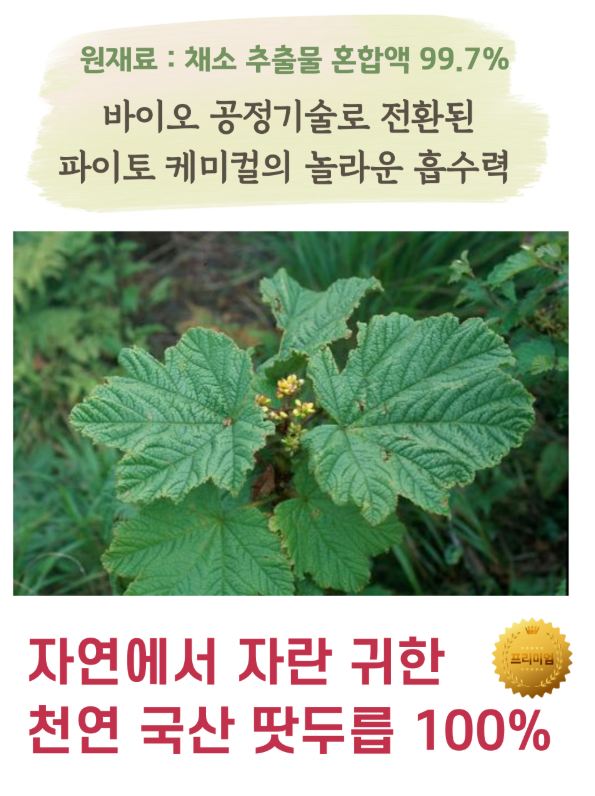 땃두릅 이미지