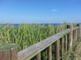 백록샘-예약사이트