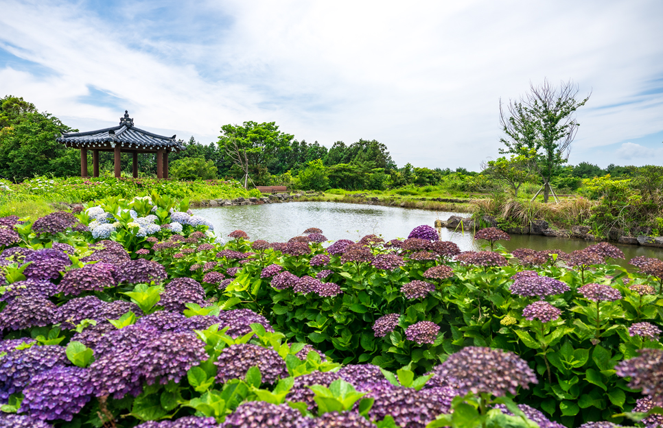 제주 동쪽 가볼만한곳 (수산한못)