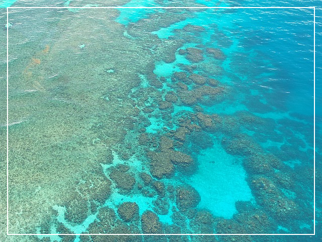 그레이트 배리어 리프, 호주