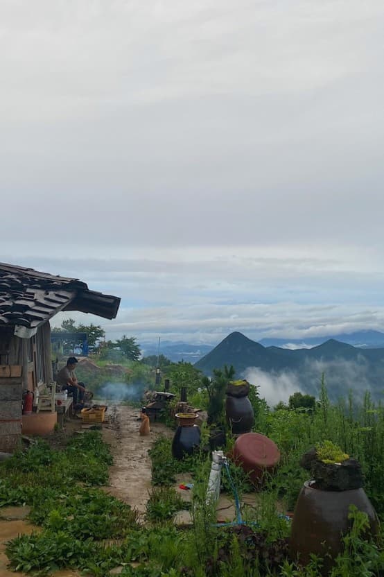 자연에서 찾은 진통제: 통증을 완화하는 천연 식재료