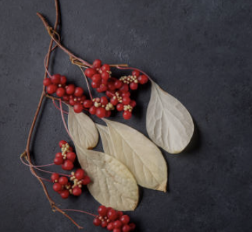 오미자 효능 부작용 먹는법 오미자차 만드는 방법 오미자청 총정리