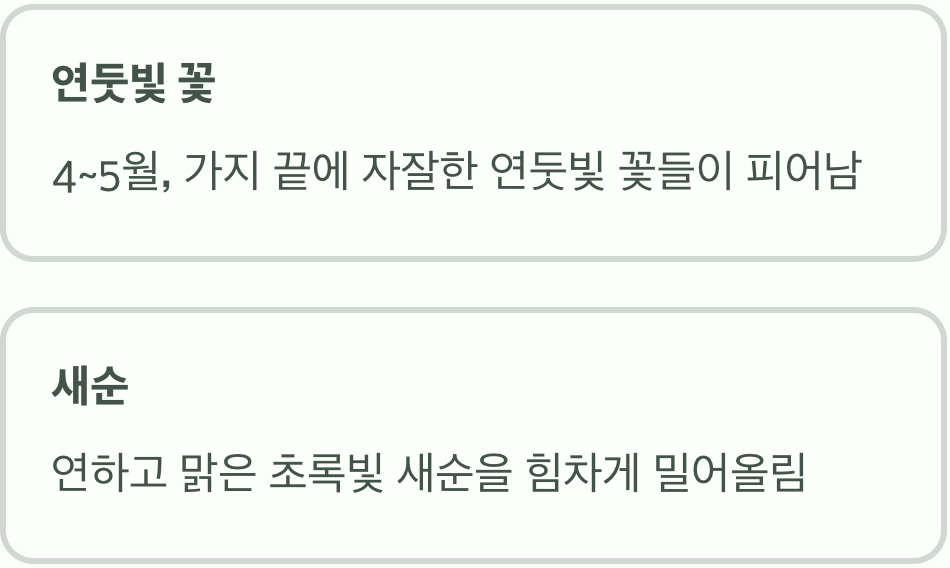 봄, 소박하지만 기품 있는 시작