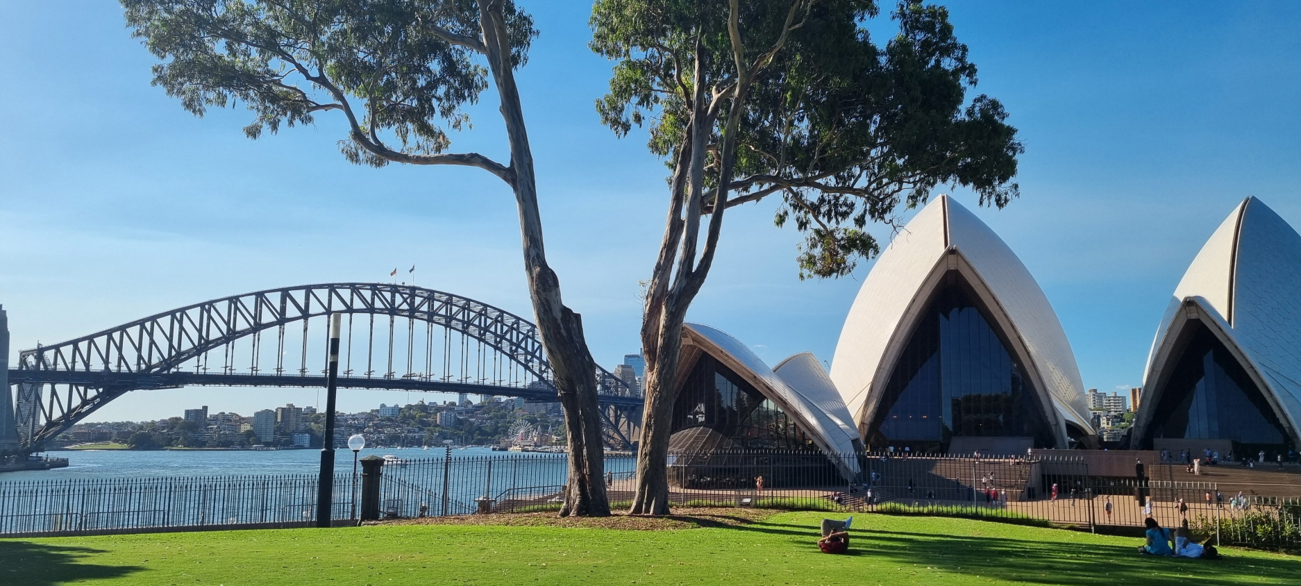 시드니 일몰 야경 인생샷