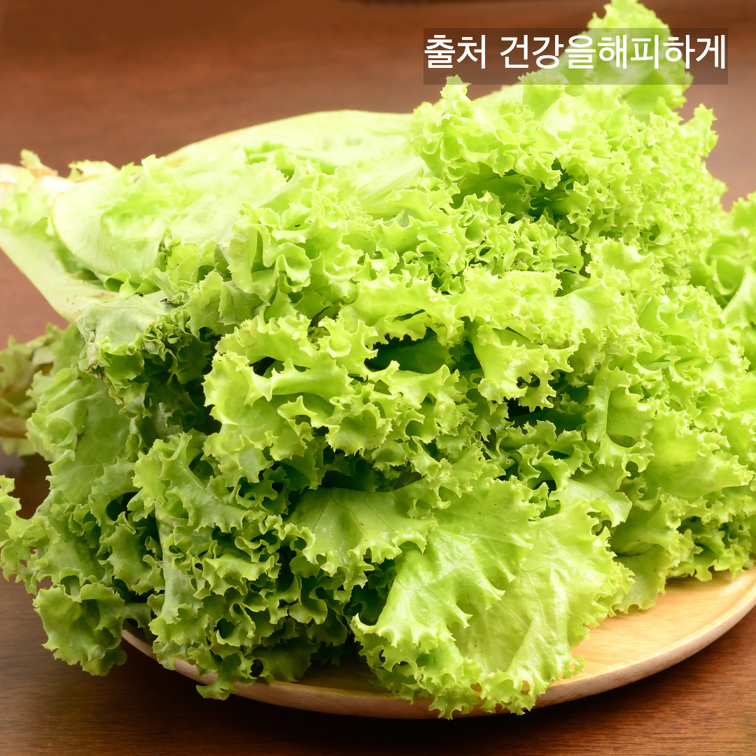 상추의 효능 부작용 칼로리 다이어트할 때 꼭 알아야 할 상극 음식