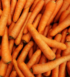 당근 효능 부작용 고르는법 칼로리