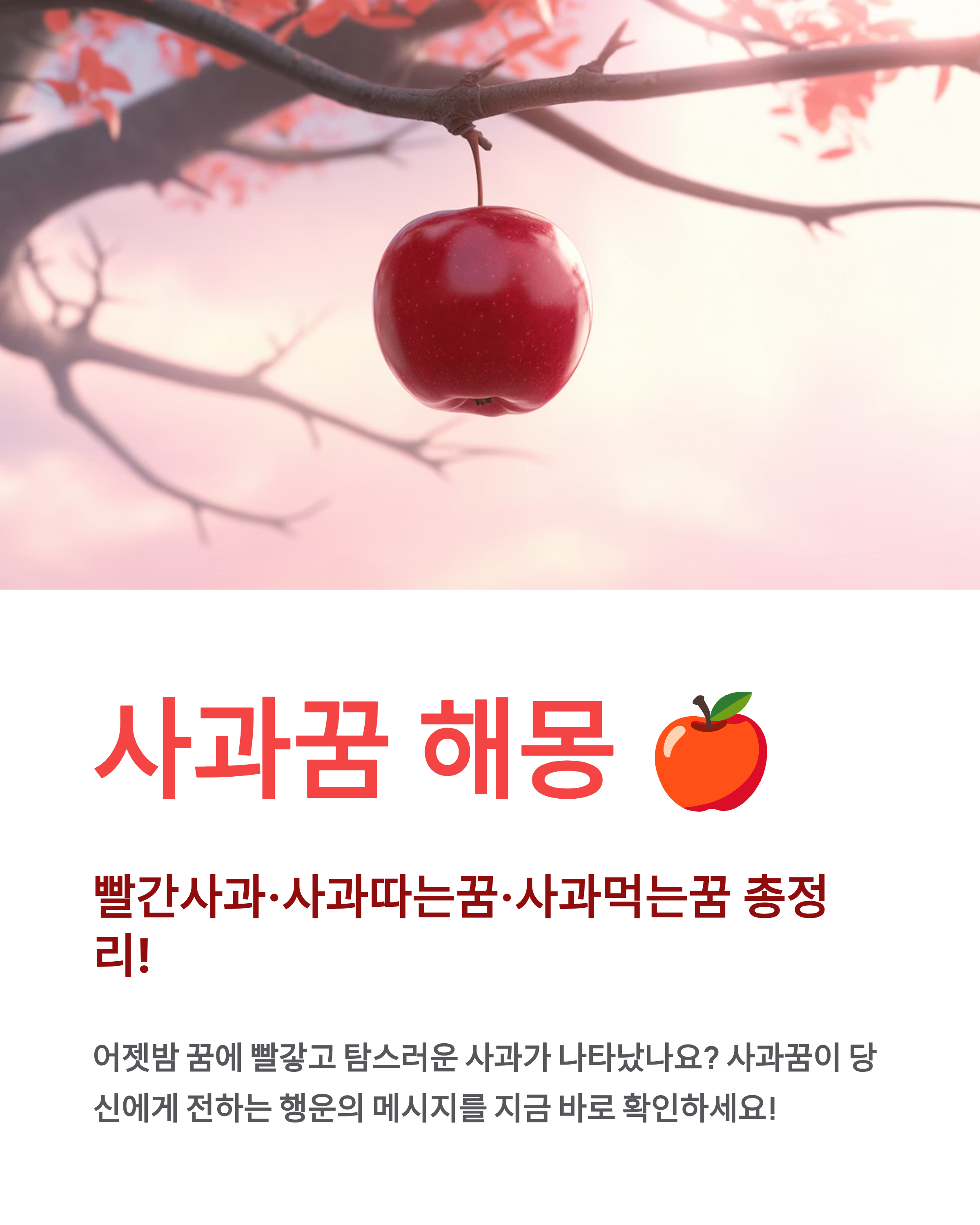 사과꿈 해몽 🍎 빨간사과·사과따는꿈·사과먹는꿈 총정리!