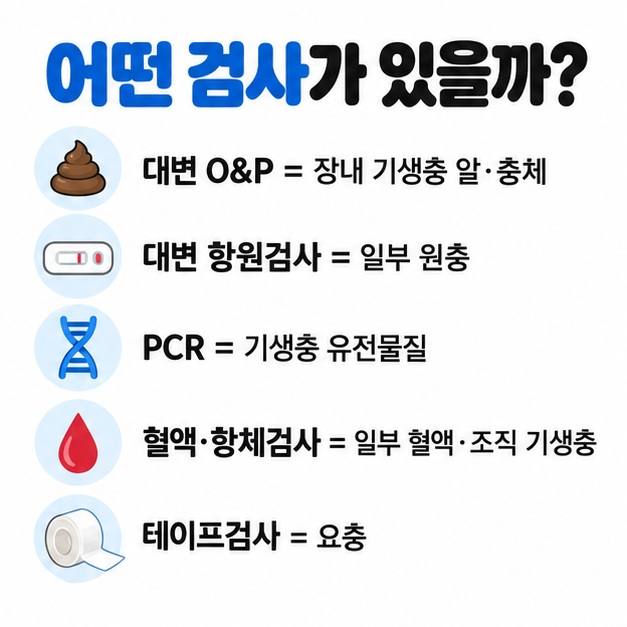 기생충 감염 검사 종류인 대변 O&P 항원 PCR 혈액검사 테이프검사를 비교한 카드뉴스